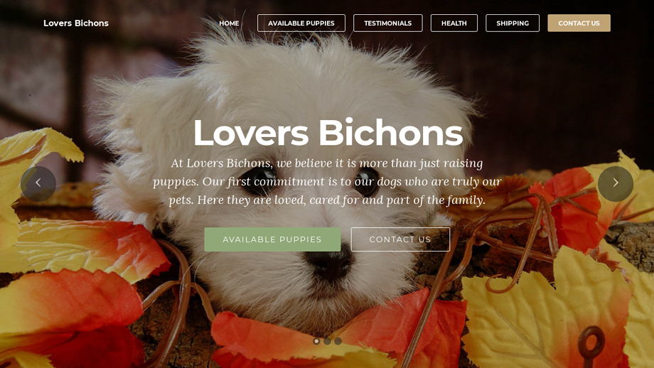 Loversbichons.com - Bichon Frise Puppy Scam Review