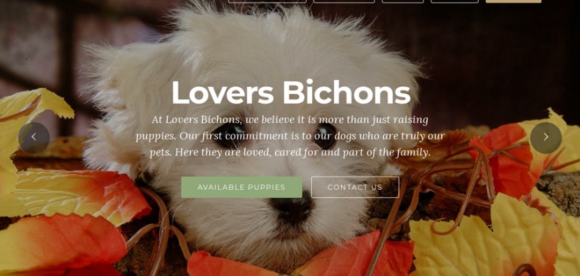 Loversbichons.com - Bichon Frise Puppy Scam Review