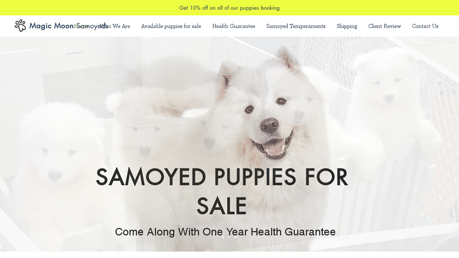 Magicmoonsamoyeds.com - Samoyed Puppy Scam Review