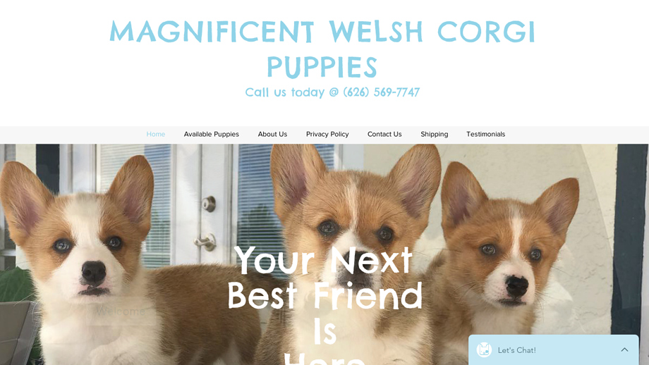 Magnificentwelshcorgipups.com - Corgi Puppy Scam Review