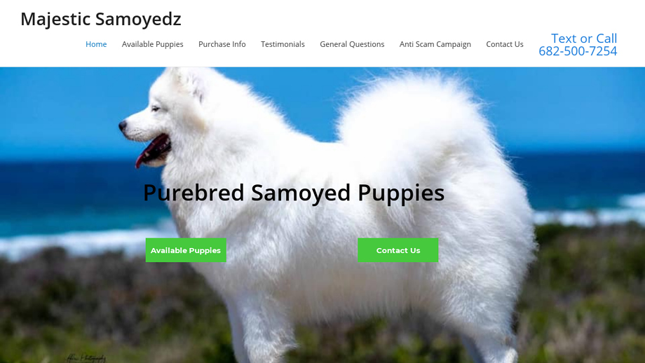 Majesticsamoyedz.com - Samoyed Puppy Scam Review