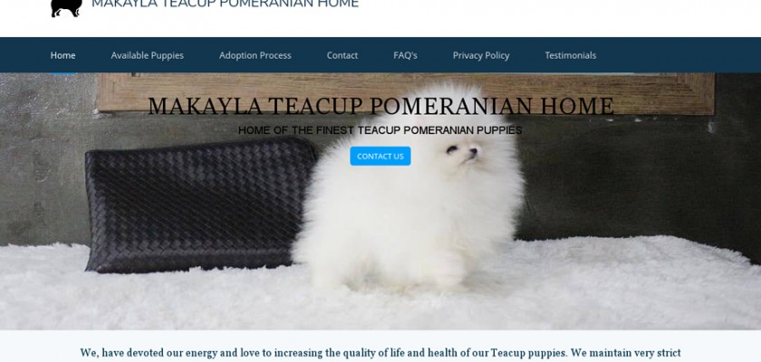 Makaylapomshome.com - Pomeranian Puppy Scam Review