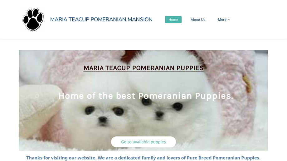 Mariateacupoms.com - Pomeranian Puppy Scam Review