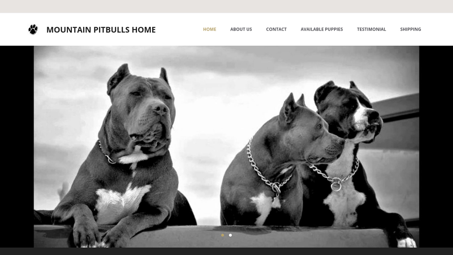 Mountainpitbullhome.com - Pit Bull Puppy Scam Review