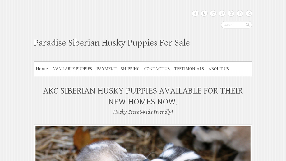 Paradisesiberianhuskies.com - Husky Puppy Scam Review