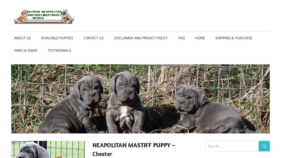 Patronmastinosworld.com - Bulldog Puppy Scam Review