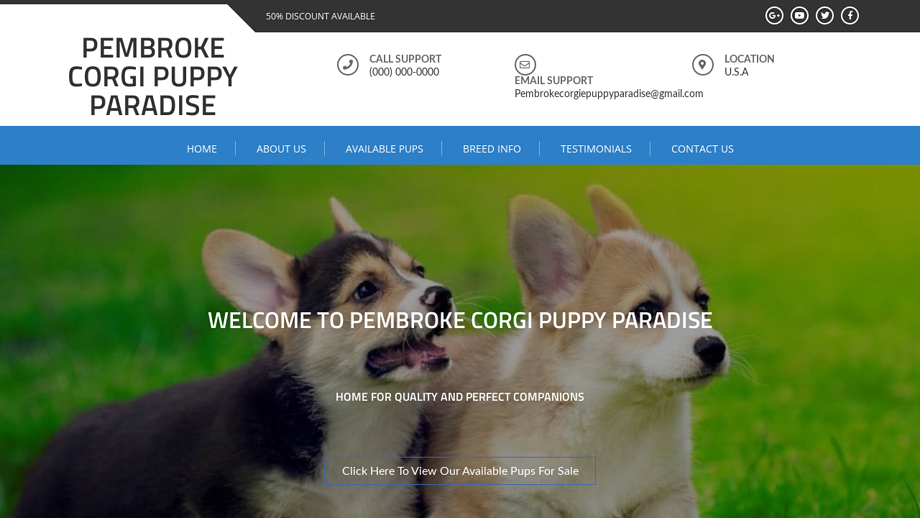 Pembrokecorgiepuppyparadise.com - Corgi Puppy Scam Review