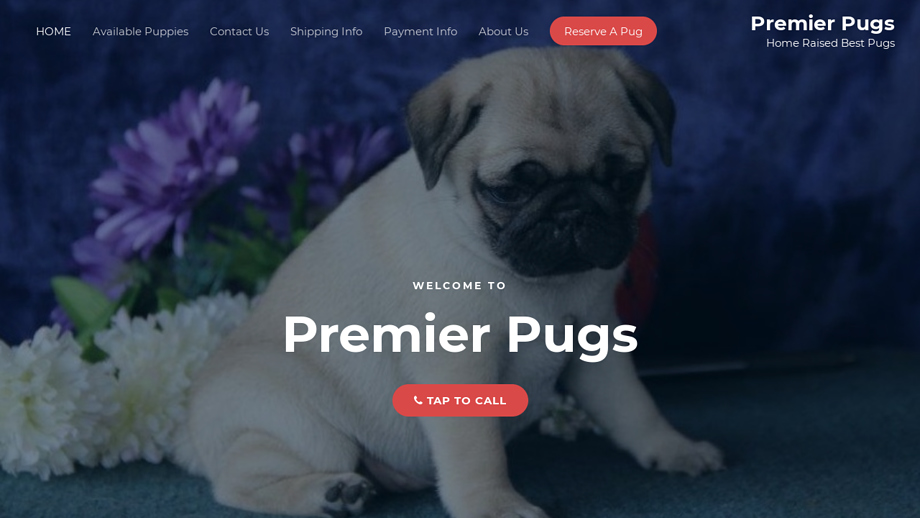 Premierpugs.com - Pug Puppy Scam Review