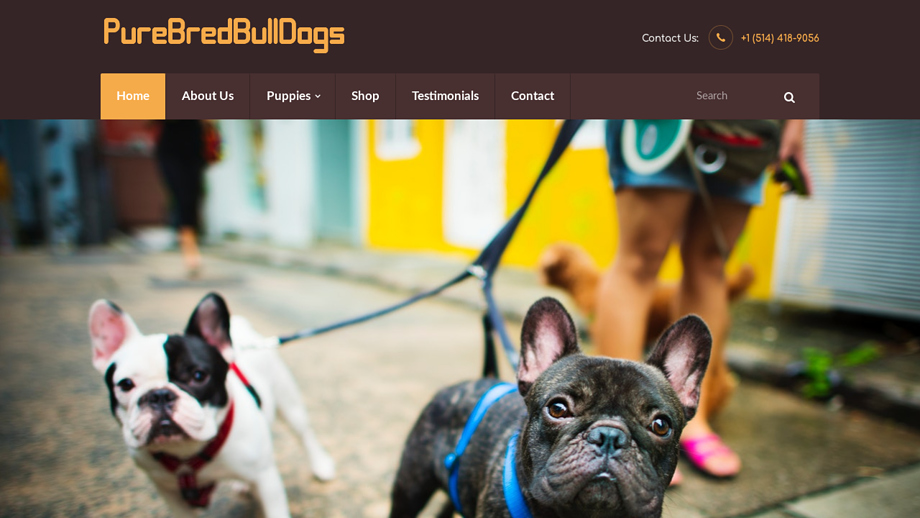 Purebredbulldogs.net - Bulldog Puppy Scam Review