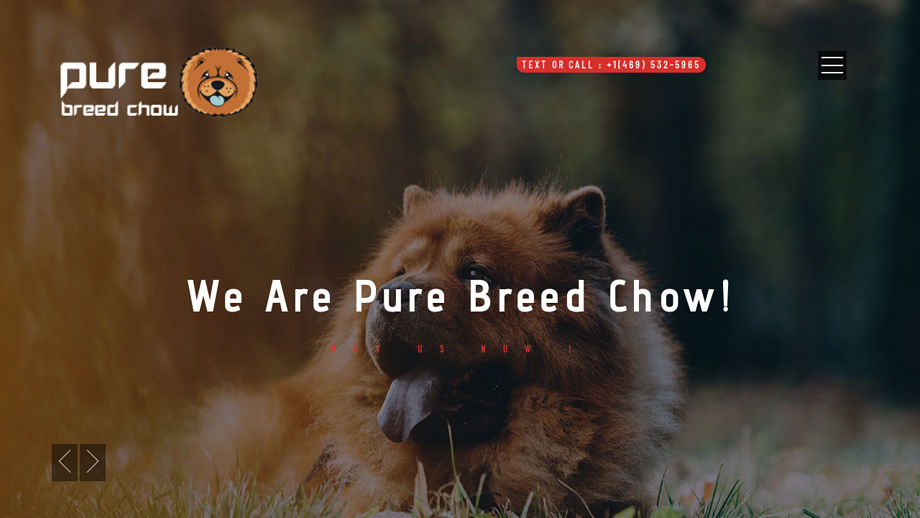 Purebredchows.com - Chowchow Puppy Scam Review