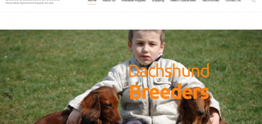 Qualitydachshundhome.com - Dachshund Puppy Scam Review