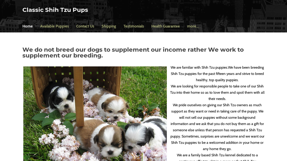 Qualityshihtzupuppysale.net - Shihtzu Puppy Scam Review