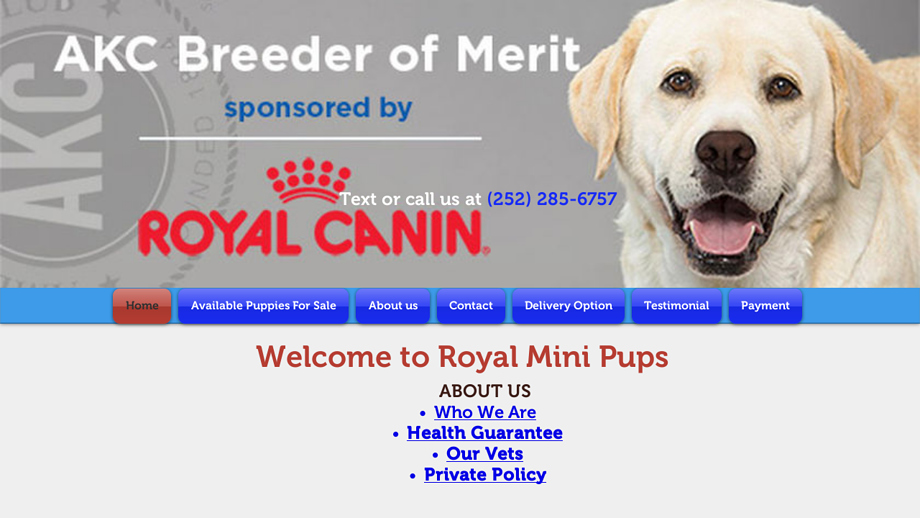 Royalminipups.com - Australian Shepherd Puppy Scam Review