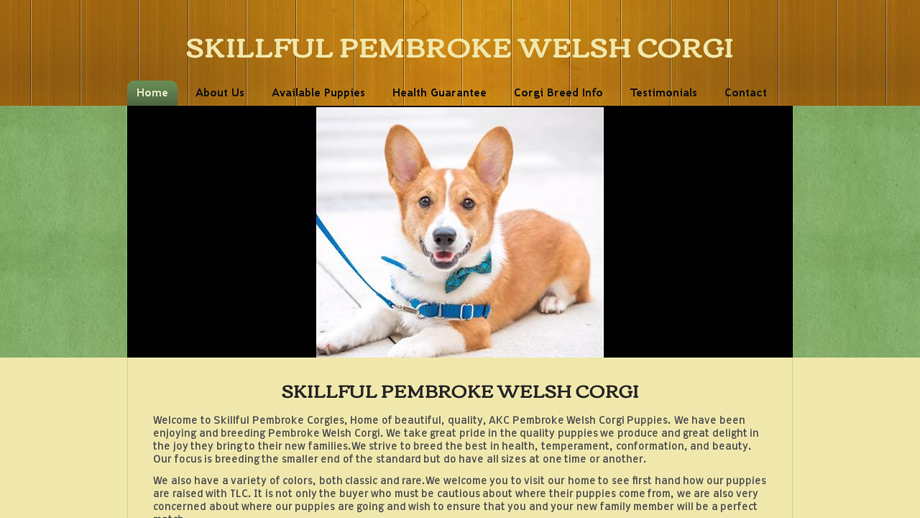 Skillfulpembrokewelshcorgi.com - Corgi Puppy Scam Review