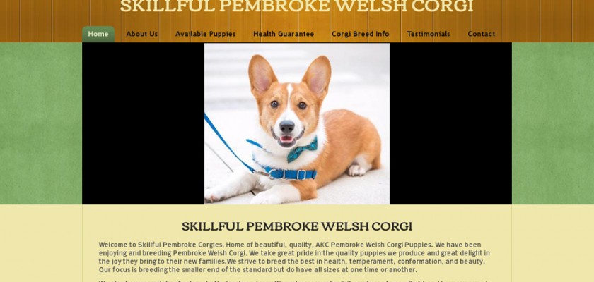 Skillfulpembrokewelshcorgi.com - Corgi Puppy Scam Review