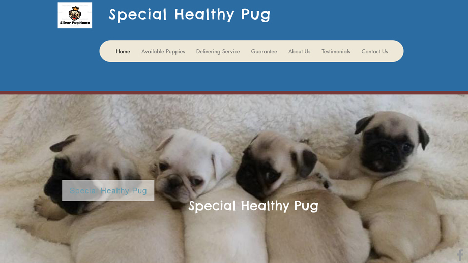 Specialhealthypug.com - Pug Puppy Scam Review