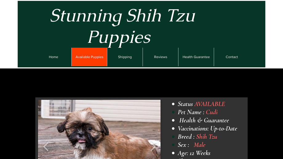 Sshihtzupuppies.com - Shihtzu Puppy Scam Review