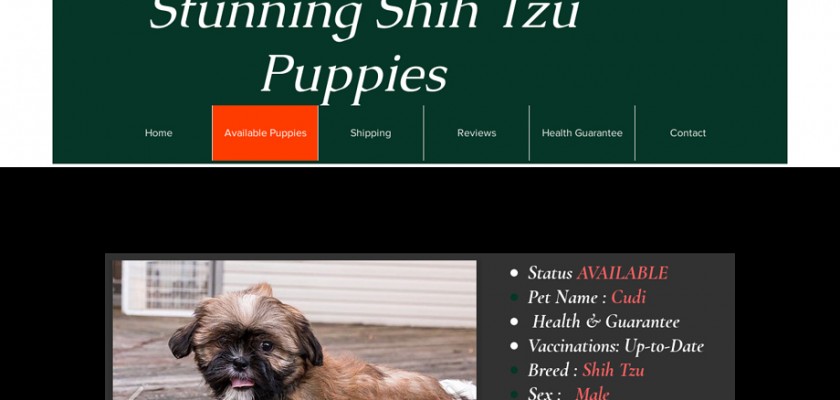 Sshihtzupuppies.com - Shihtzu Puppy Scam Review