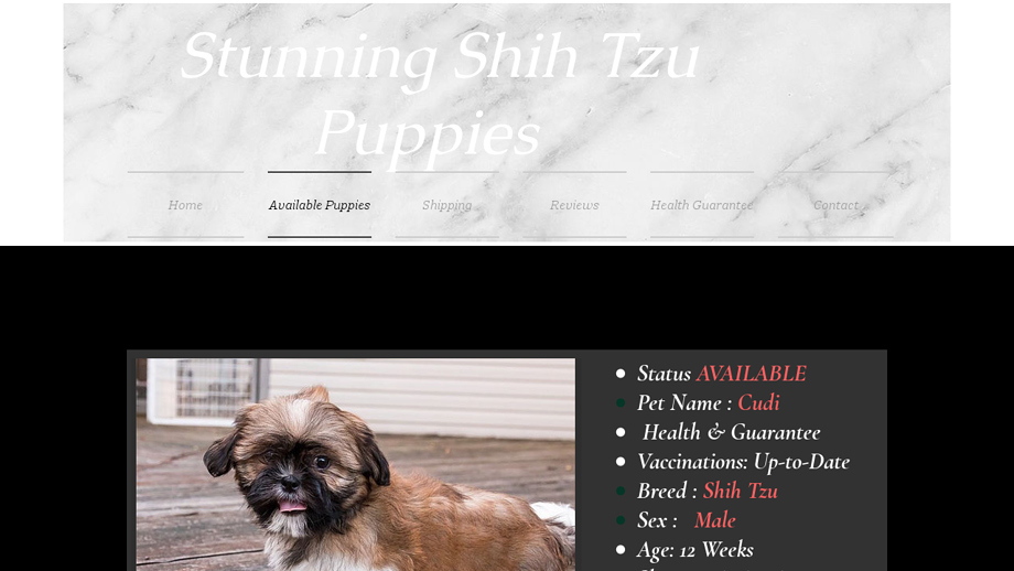 Stunningshihtzupuppies.com - Shihtzu Puppy Scam Review