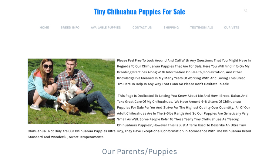 Teacupchihuahuapupsales.net - Chihuahua Puppy Scam Review