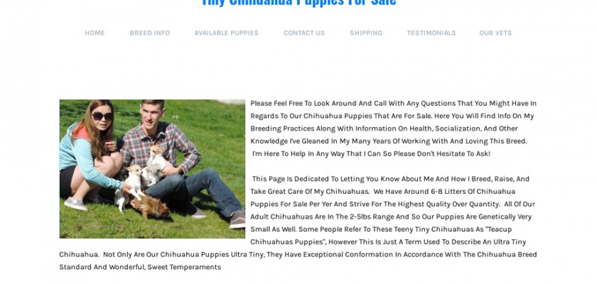 Teacupchihuahuapupsales.net - Chihuahua Puppy Scam Review