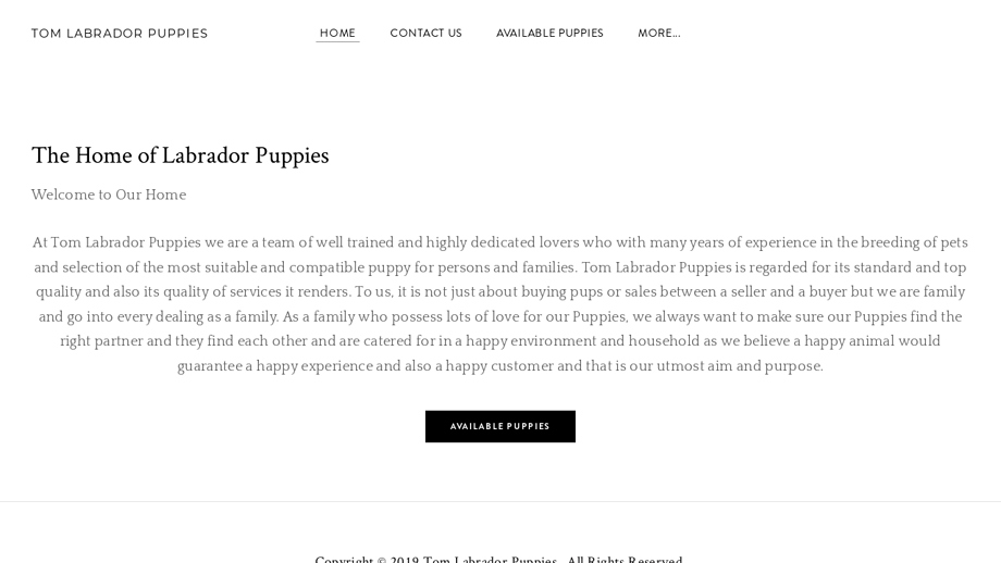 Tomlabradorpuppies.com - Labrador Puppy Scam Review