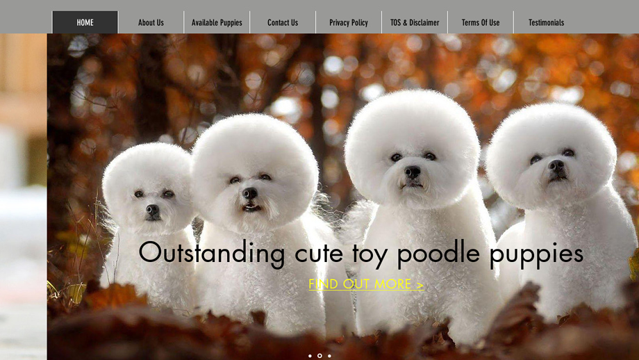 Toypoodlehomes.com - Poodle Puppy Scam Review