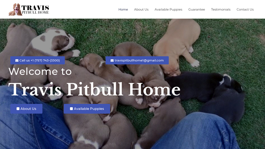 Travispitbullhome.com - Pit Bull Puppy Scam Review