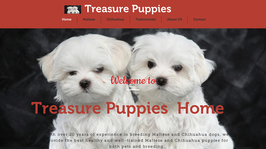 Treasurepuppies.us - Maltese Puppy Scam Review