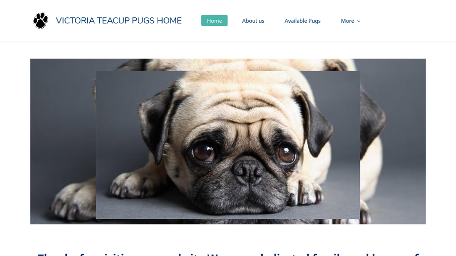 Vickytcuppugs.com - Pug Puppy Scam Review