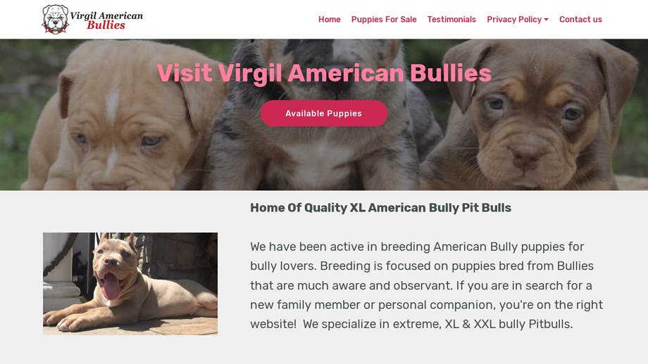 Virgilamericanbullies.com - Pit Bull Puppy Scam Review