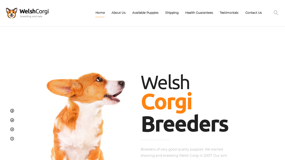 Welshcorgibreeder.com - Corgi Puppy Scam Review