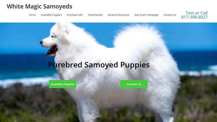 Whitemagicsamoyedz.com - Samoyed Puppy Scam Review