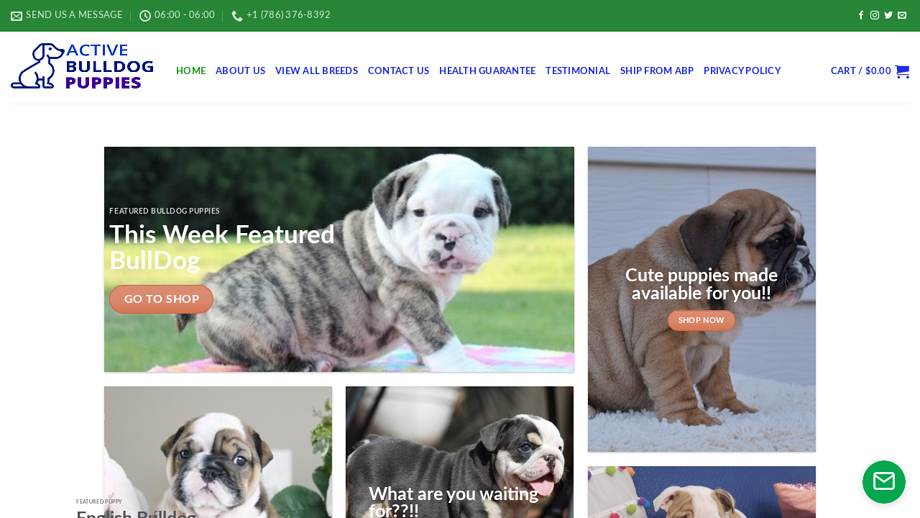 Activebulldogpuppies.com - Bulldog Puppy Scam Review