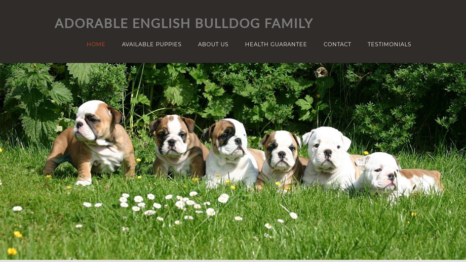 Adorablebulldogs.net - English Bulldog Puppy Scam Review