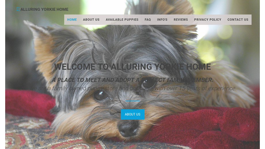 Alluringyorking.com - Yorkshire Terrier Puppy Scam Review