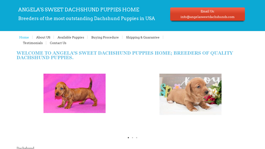 Angelasweetdachshunds.com - Dachshund Puppy Scam Review