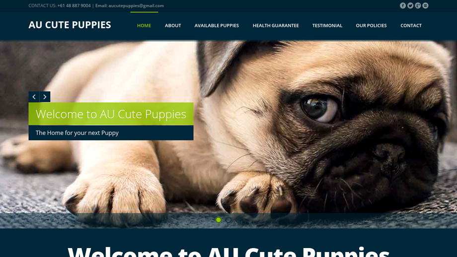 Aucutepuppies.com - Pug Puppy Scam Review