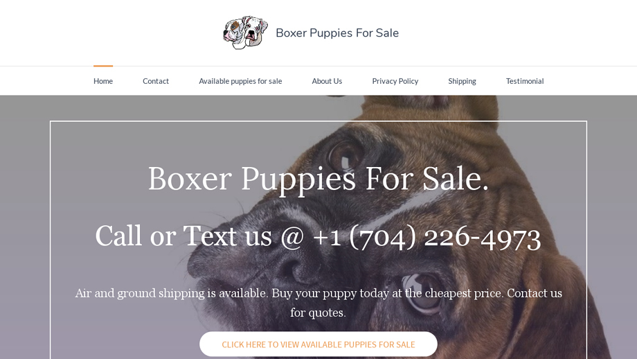 Boxerpuppiessale.com - Boxer Puppy Scam Review