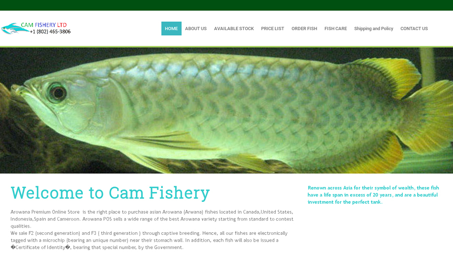 Camfisheryltd.com - Arowana Puppy Scam Review