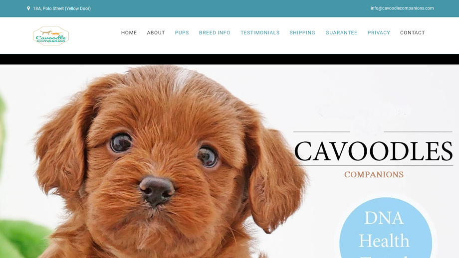 Cavoodlecompanions.com - Cavapoo Puppy Scam Review