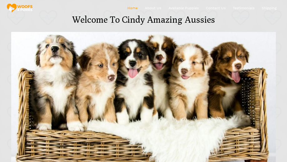 Cindyamazingaussies.com - Australian Shepherd Puppy Scam Review