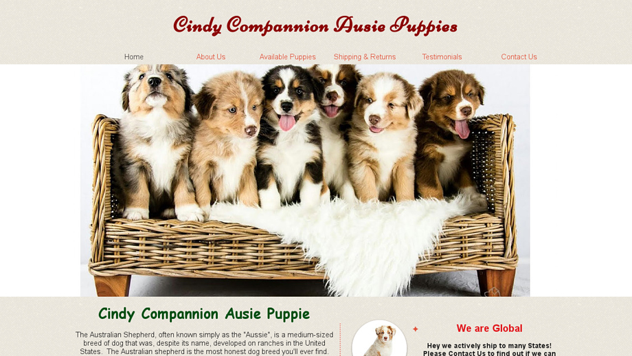 Cindyaussiepuppies7.com - Australian Shepherd Puppy Scam Review