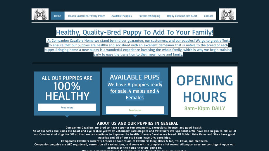 Companioncavalierpuppies.com - Cavalier King Charles Spaniel Puppy Scam Review