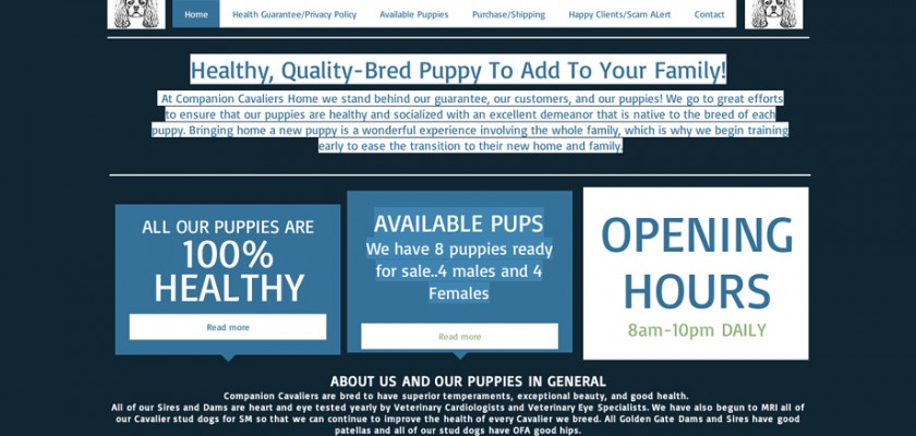 Companioncavalierpuppies.com - Cavalier King Charles Spaniel Puppy Scam Review