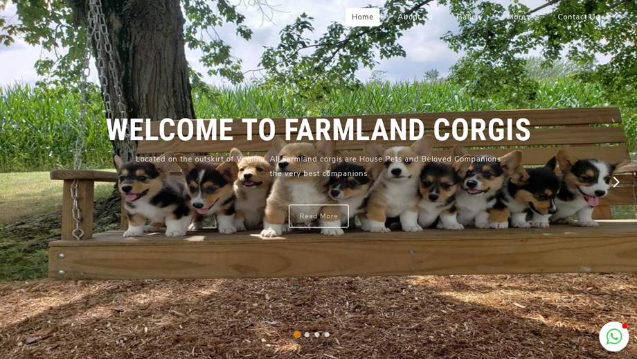 Corgipuppiesforrehoming.com - Corgi Puppy Scam Review