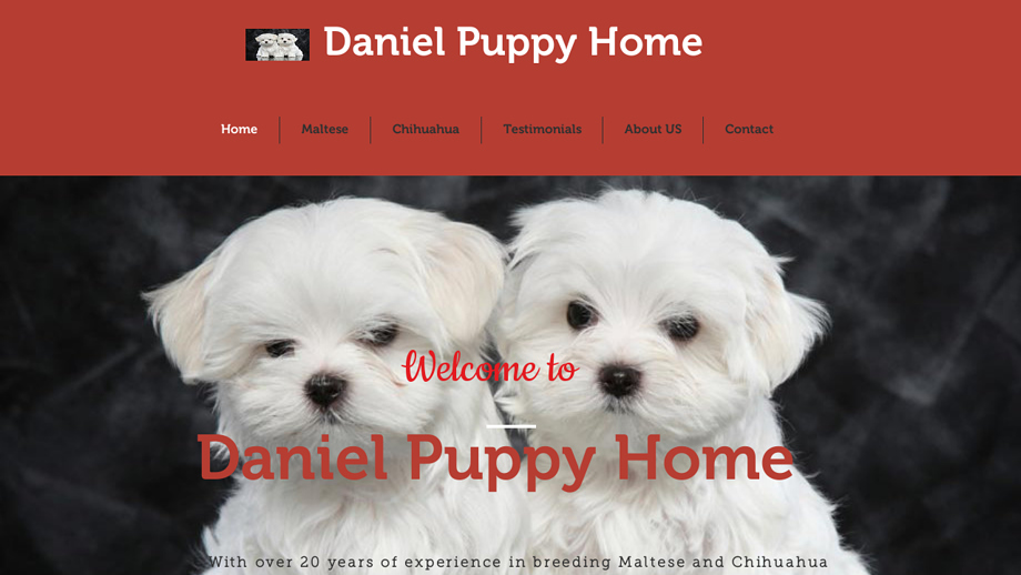 Danielpuppies.us - Maltese Puppy Scam Review