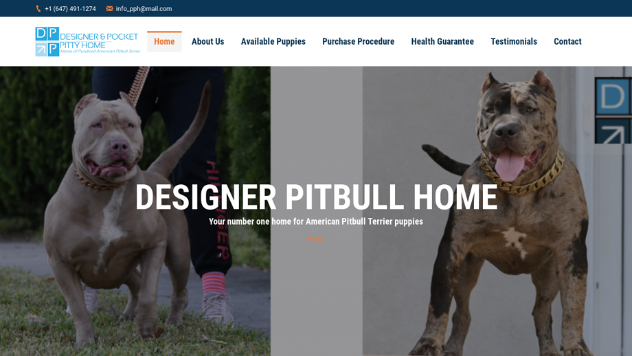 Designerpitbullhome.com - Pit Bull Puppy Scam Review