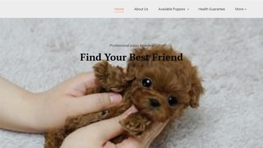 Dreamlovepoodles.com - Poodle Puppy Scam Review