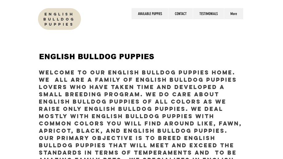 Englishbullies19.com - English Bulldog Puppy Scam Review